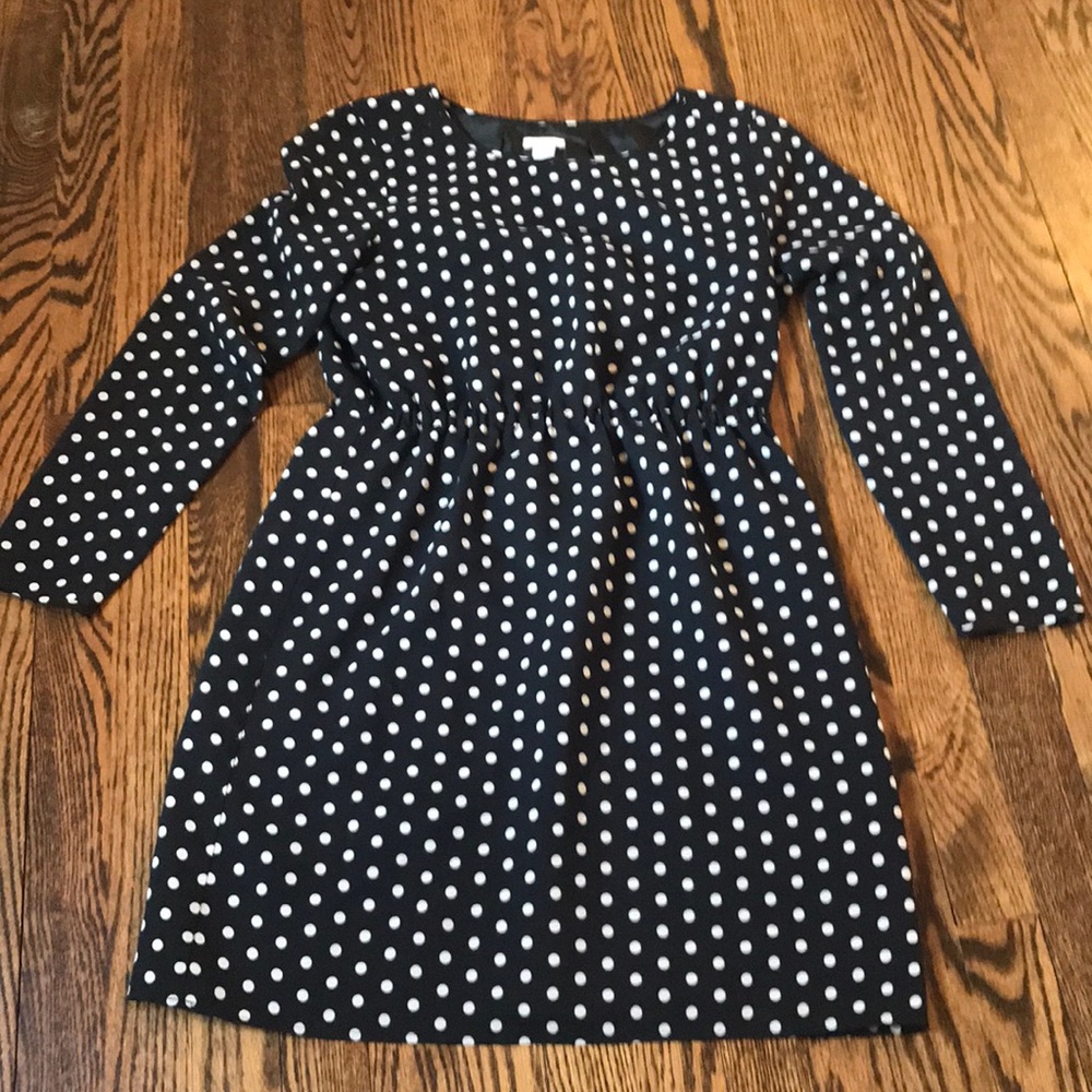 J.Crew Dress